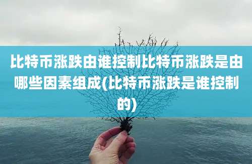 比特币涨跌由谁控制比特币涨跌是由哪些因素组成(比特币涨跌是谁控制的)