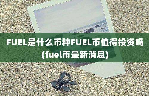 FUEL是什么币种FUEL币值得投资吗(fuel币最新消息)