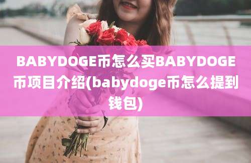 BABYDOGE币怎么买BABYDOGE币项目介绍(babydoge币怎么提到钱包)