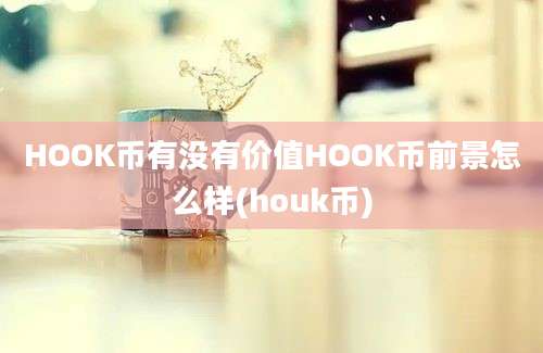 HOOK币有没有价值HOOK币前景怎么样(houk币)