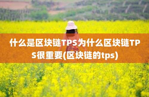 什么是区块链TPS为什么区块链TPS很重要(区块链的tps)