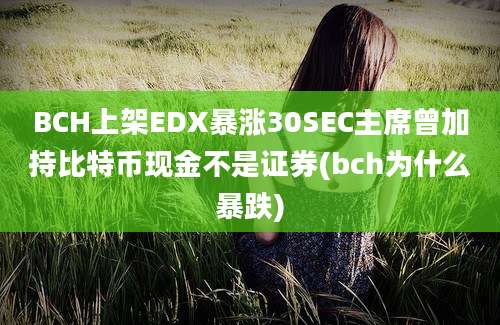 BCH上架EDX暴涨30SEC主席曾加持比特币现金不是证券(bch为什么暴跌)