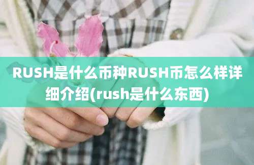 RUSH是什么币种RUSH币怎么样详细介绍(rush是什么东西)