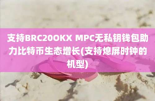 支持BRC20OKX MPC无私钥钱包助力比特币生态增长(支持熄屏时钟的机型)