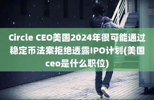 Circle CEO美国2024年很可能通过稳定币法案拒绝透露IPO计划(美国ceo是什么职位)