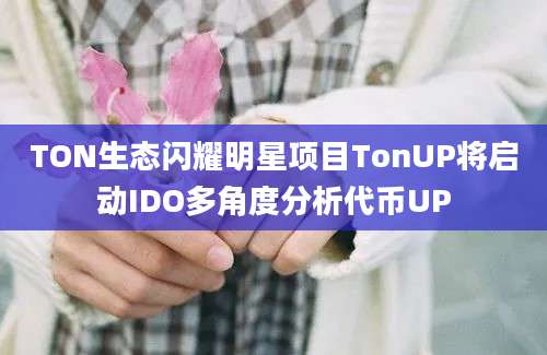 TON生态闪耀明星项目TonUP将启动IDO多角度分析代币UP