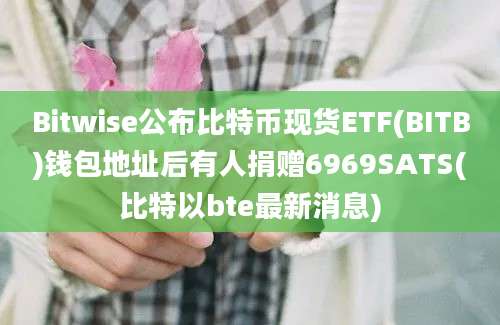 Bitwise公布比特币现货ETF(BITB)钱包地址后有人捐赠6969SATS(比特以bte最新消息)