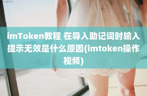 imToken教程 在导入助记词时输入提示无效是什么原因(imtoken操作视频)