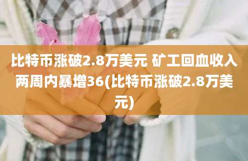 比特币涨破2.8万美元 矿工回血收入两周内暴增36(比特币涨破2.8万美元)