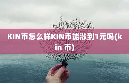 KIN币怎么样KIN币能涨到1元吗(kin 币)