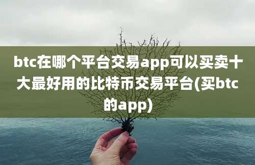 btc在哪个平台交易app可以买卖十大最好用的比特币交易平台(买btc的app)