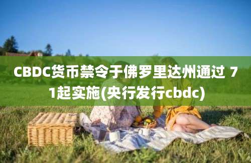 CBDC货币禁令于佛罗里达州通过 71起实施(央行发行cbdc)