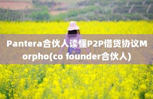 Pantera合伙人读懂P2P借贷协议Morpho(co founder合伙人)