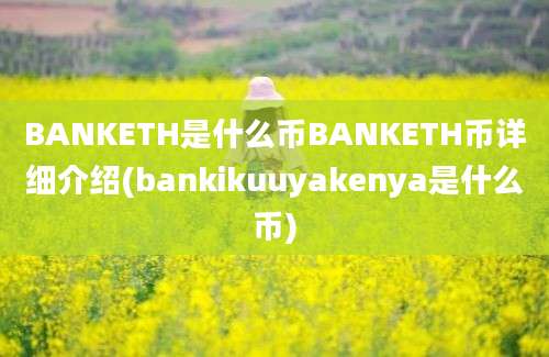 BANKETH是什么币BANKETH币详细介绍(bankikuuyakenya是什么币)