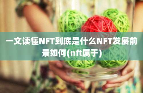 一文读懂NFT到底是什么NFT发展前景如何(nft属于)