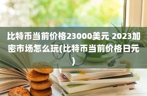 比特币当前价格23000美元 2023加密市场怎么玩(比特币当前价格日元)