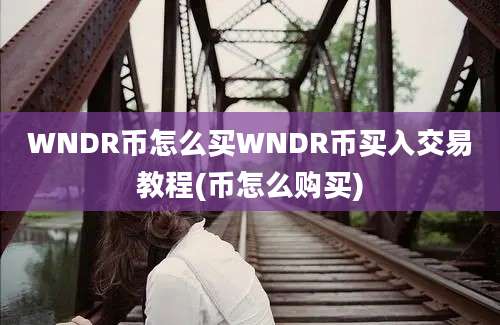 WNDR币怎么买WNDR币买入交易教程(币怎么购买)