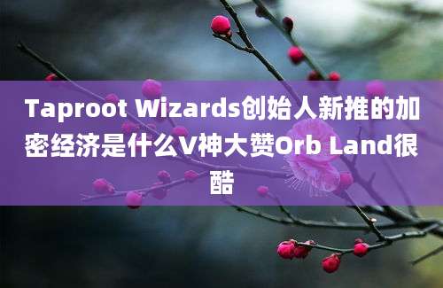 Taproot Wizards创始人新推的加密经济是什么V神大赞Orb Land很酷