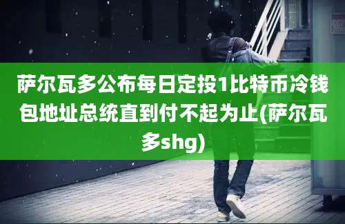 萨尔瓦多公布每日定投1比特币冷钱包地址总统直到付不起为止(萨尔瓦多shg)