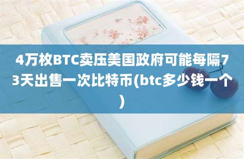 4万枚BTC卖压美国政府可能每隔73天出售一次比特币(btc多少钱一个)