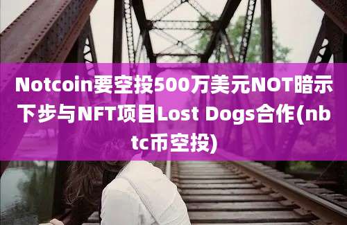 Notcoin要空投500万美元NOT暗示下步与NFT项目Lost Dogs合作(nbtc币空投)