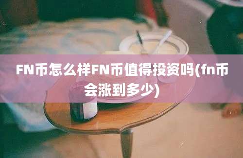 FN币怎么样FN币值得投资吗(fn币会涨到多少)