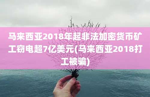 马来西亚2018年起非法加密货币矿工窃电超7亿美元(马来西亚2018打工被骗)