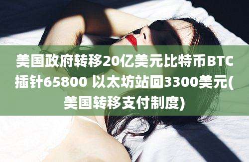 美国政府转移20亿美元比特币BTC插针65800 以太坊站回3300美元(美国转移支付制度)