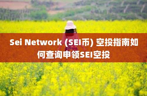 Sei Network (SEI币) 空投指南如何查询申领SEI空投