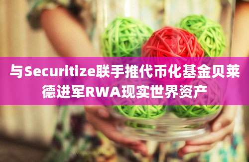 与Securitize联手推代币化基金贝莱德进军RWA现实世界资产