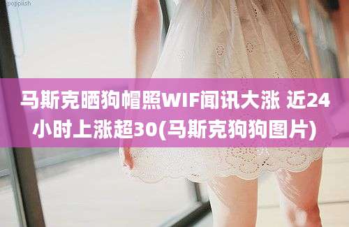 马斯克晒狗帽照WIF闻讯大涨 近24小时上涨超30(马斯克狗狗图片)