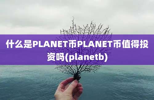 什么是PLANET币PLANET币值得投资吗(planetb)