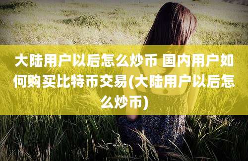 大陆用户以后怎么炒币 国内用户如何购买比特币交易(大陆用户以后怎么炒币)