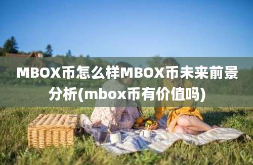 MBOX币怎么样MBOX币未来前景分析(mbox币有价值吗)