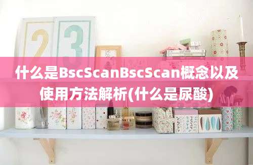 什么是BscScanBscScan概念以及使用方法解析(什么是尿酸)