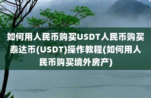 如何用人民币购买USDT人民币购买泰达币(USDT)操作教程(如何用人民币购买境外房产)