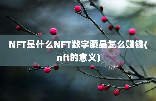 NFT是什么NFT数字藏品怎么赚钱(nft的意义)