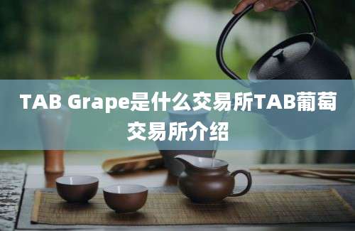 TAB Grape是什么交易所TAB葡萄交易所介绍