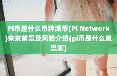 Pi币是什么币种派币(Pi Network)未来前景及风险介绍(pi币是什么意思啊)