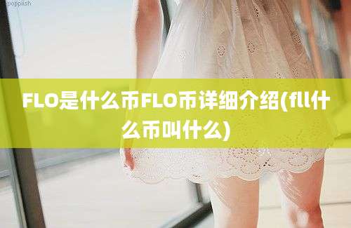 FLO是什么币FLO币详细介绍(fll什么币叫什么)