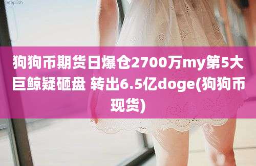 狗狗币期货日爆仓2700万my第5大巨鲸疑砸盘 转出6.5亿doge(狗狗币现货)