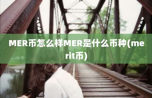 MER币怎么样MER是什么币种(merit币)