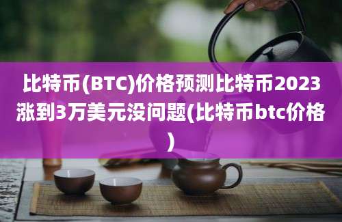 比特币(BTC)价格预测比特币2023涨到3万美元没问题(比特币btc价格)