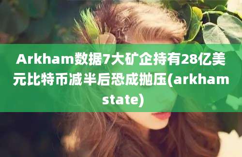 Arkham数据7大矿企持有28亿美元比特币减半后恐成抛压(arkham state)