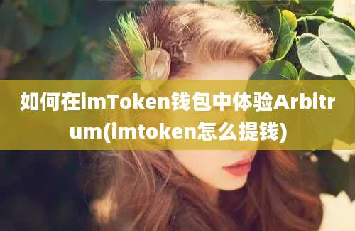 如何在imToken钱包中体验Arbitrum(imtoken怎么提钱)