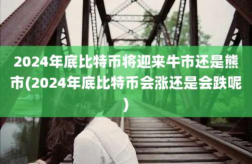 2024年底比特币将迎来牛市还是熊市(2024年底比特币会涨还是会跌呢)