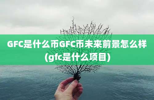 GFC是什么币GFC币未来前景怎么样(gfc是什么项目)