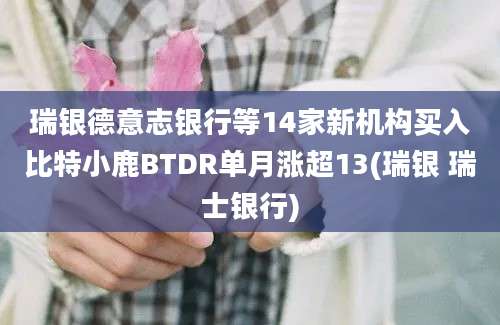 瑞银德意志银行等14家新机构买入比特小鹿BTDR单月涨超13(瑞银 瑞士银行)