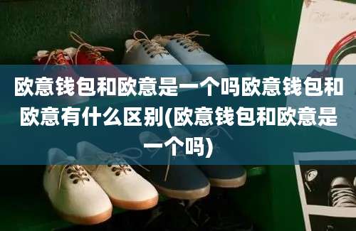 欧意钱包和欧意是一个吗欧意钱包和欧意有什么区别(欧意钱包和欧意是一个吗)