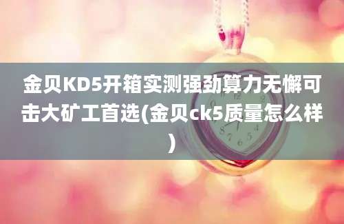 金贝KD5开箱实测强劲算力无懈可击大矿工首选(金贝ck5质量怎么样)